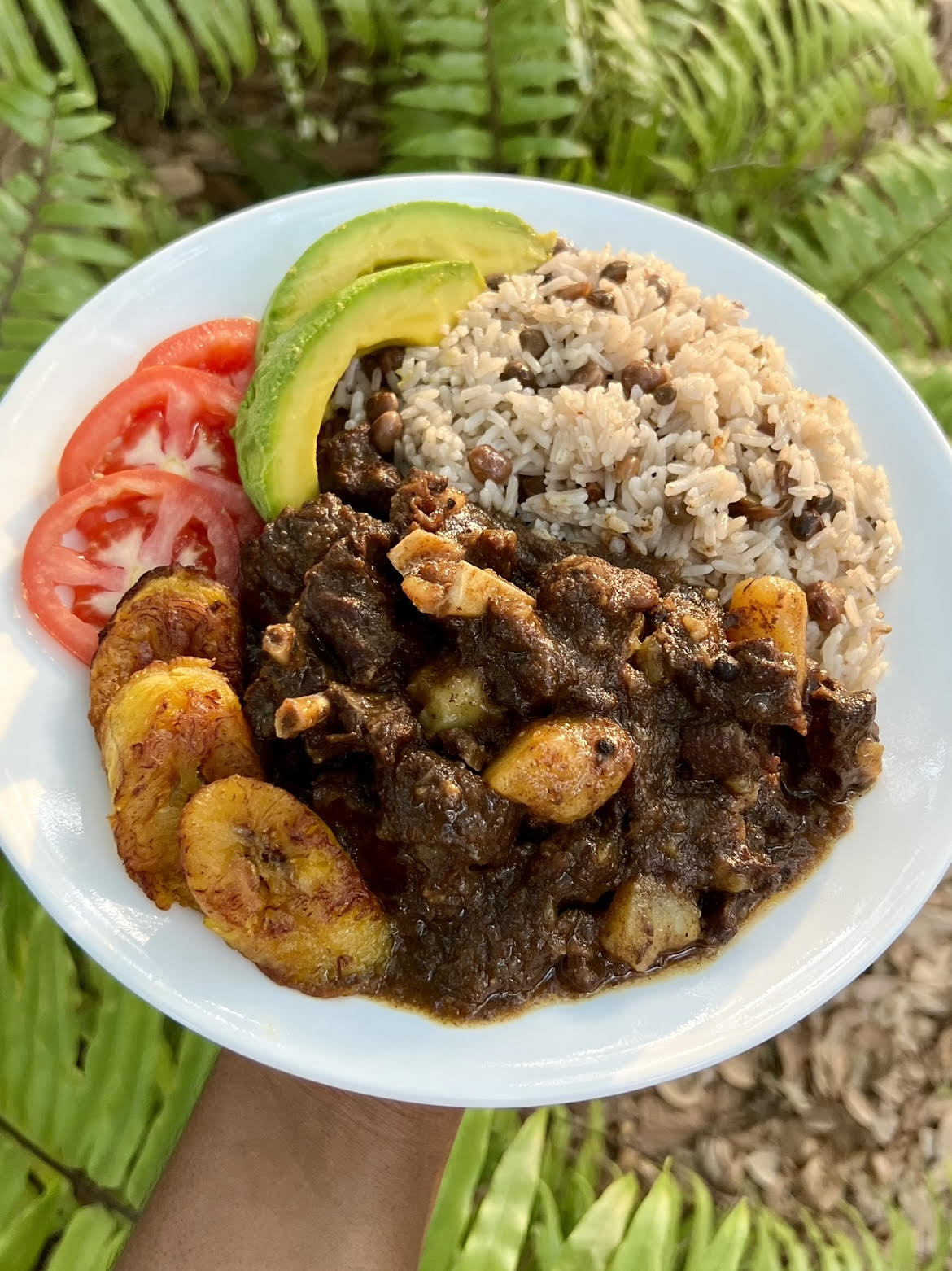 Brown Stew Goat