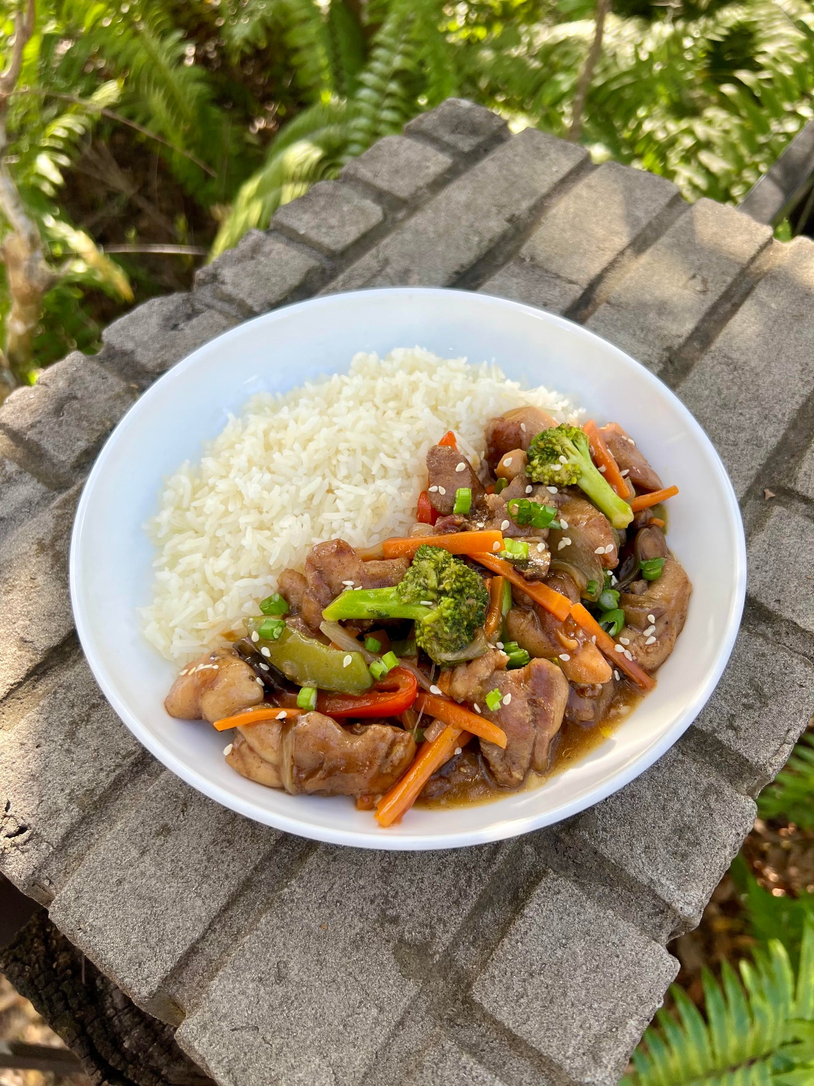 Chicken Stir Fry (Asian-Style)