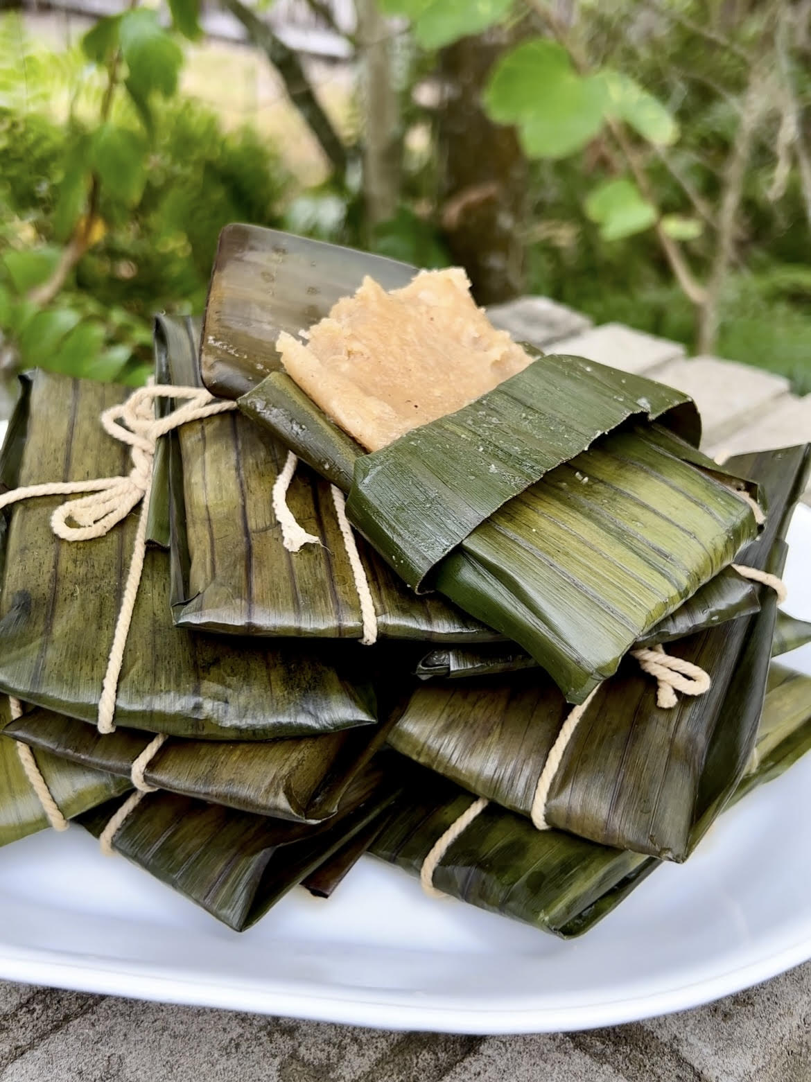 Dukunoo aka Blue Draws or Tie-A-Leaf