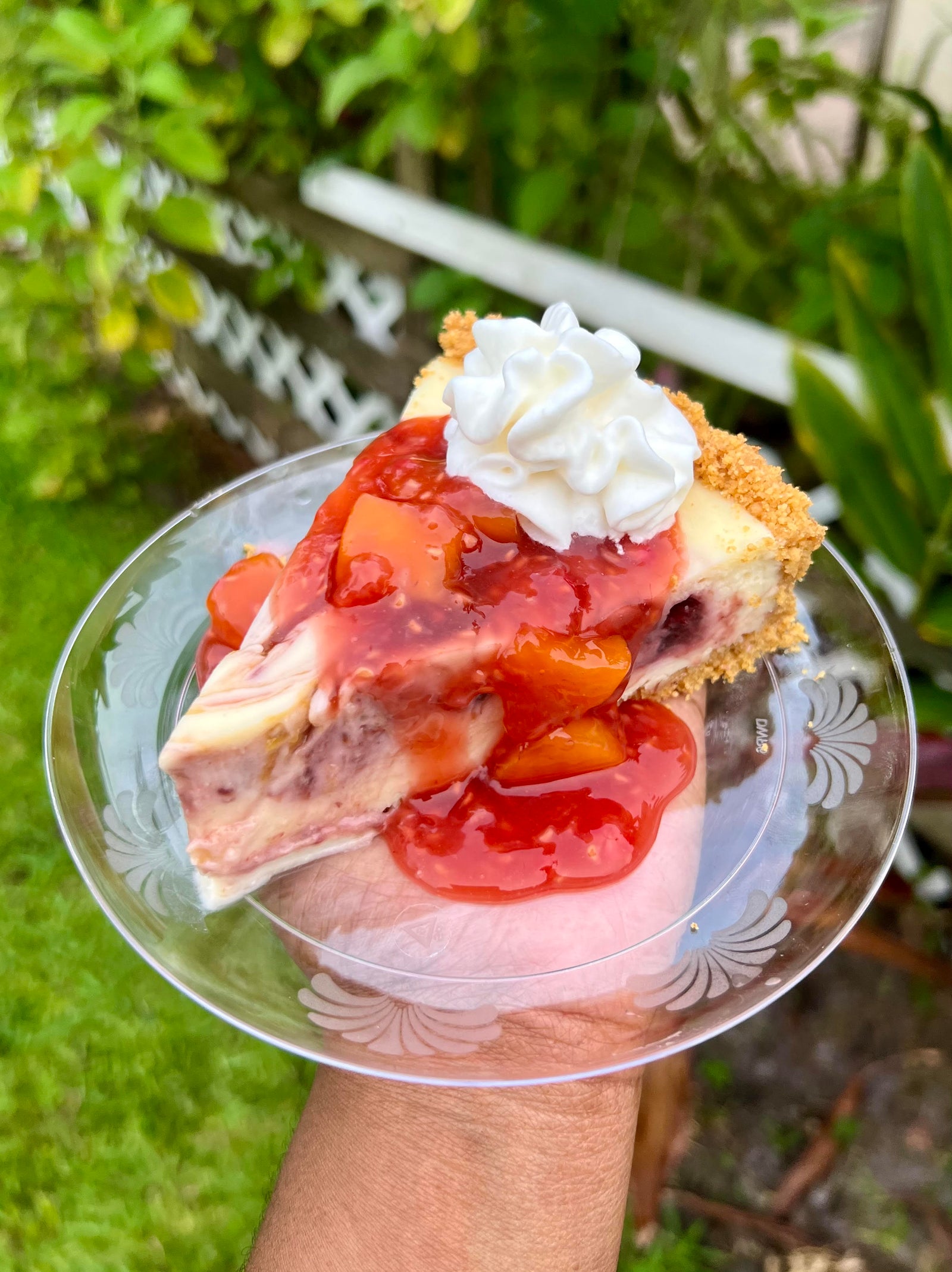 Raspberry Peach Swirl Cheesecake