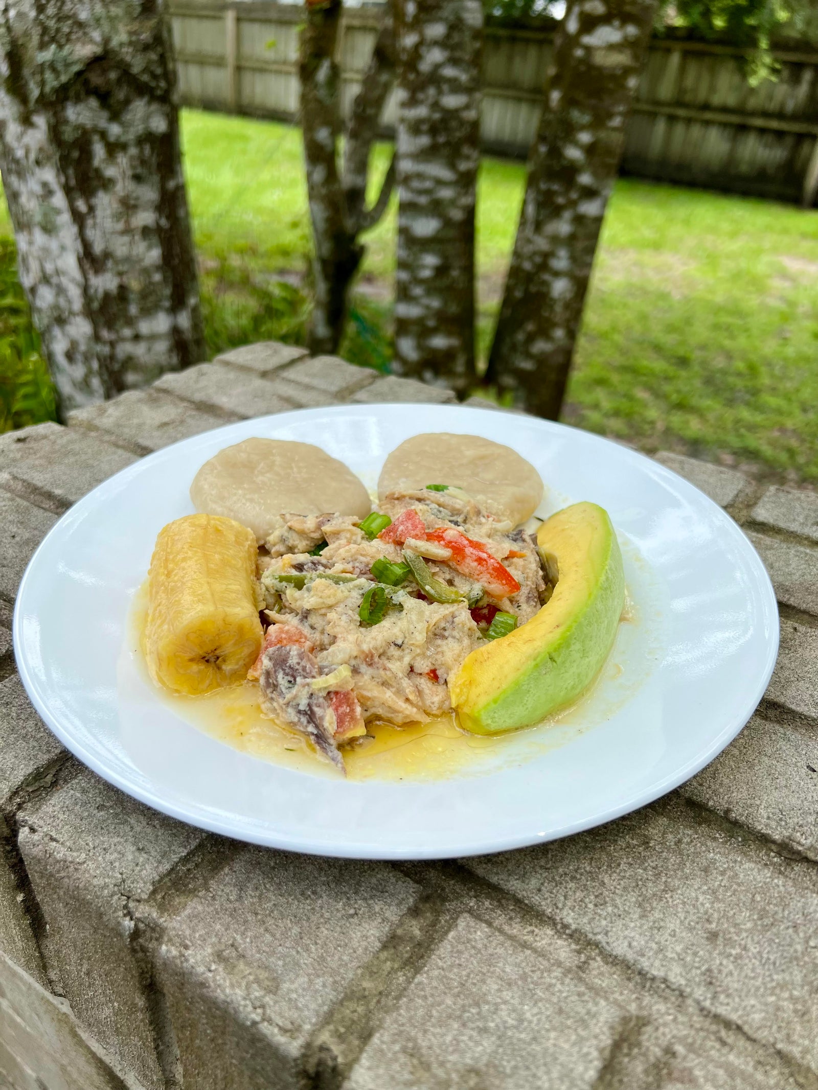 Salt Mackerel Rundown