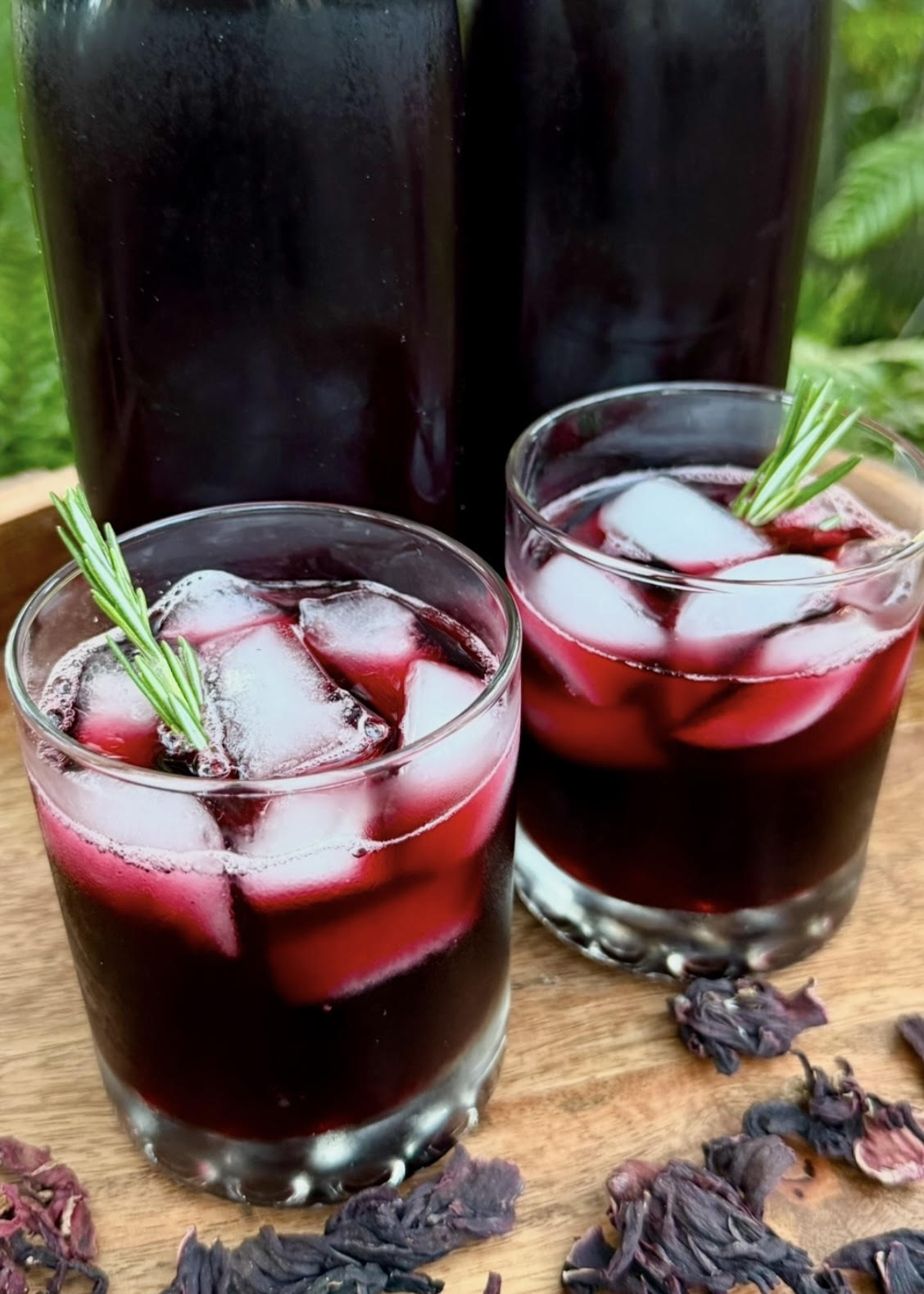 Jamaican Sorrel Drink