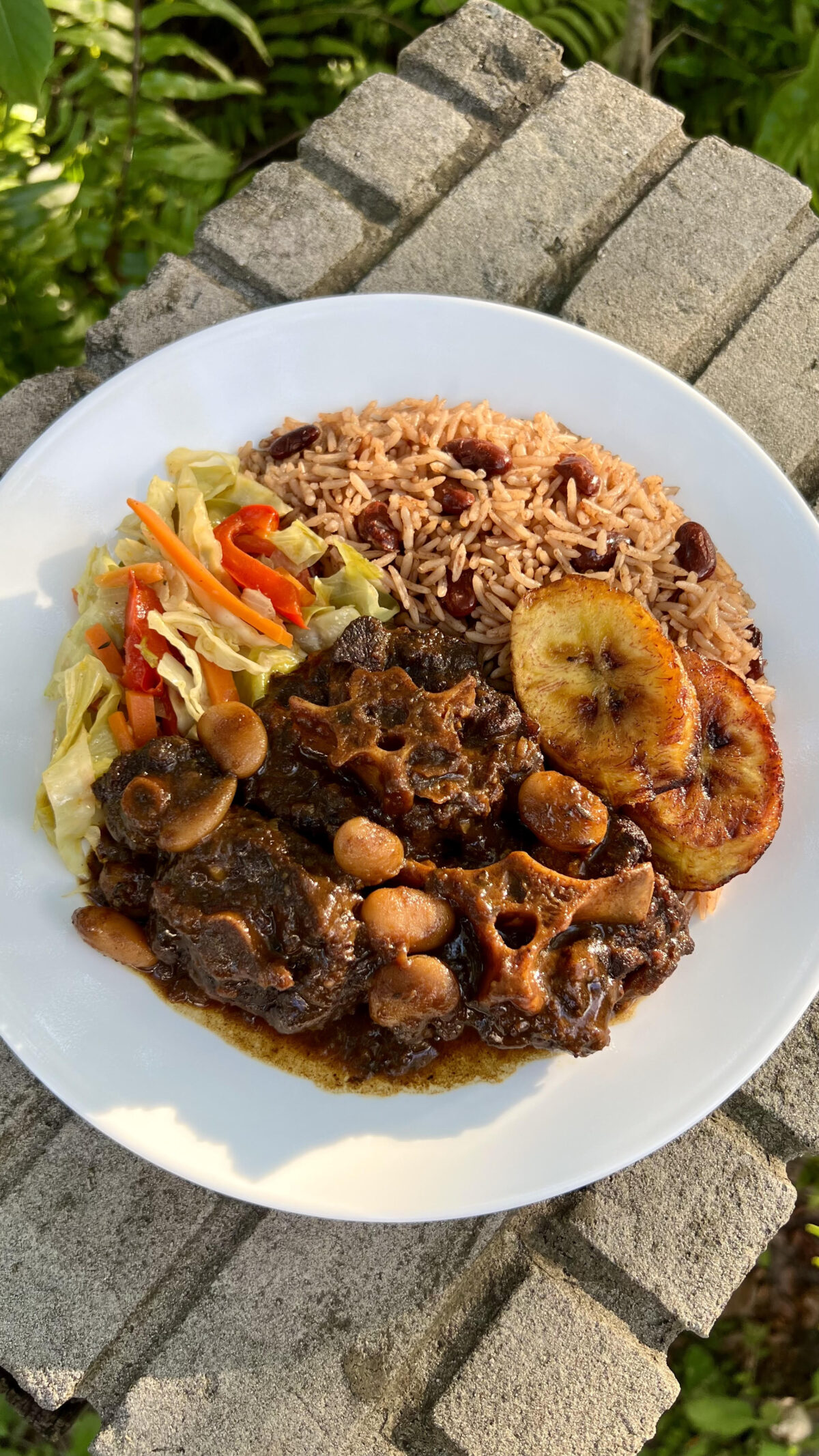 plate of oxtail, cabbage, rice and peas, and plantains