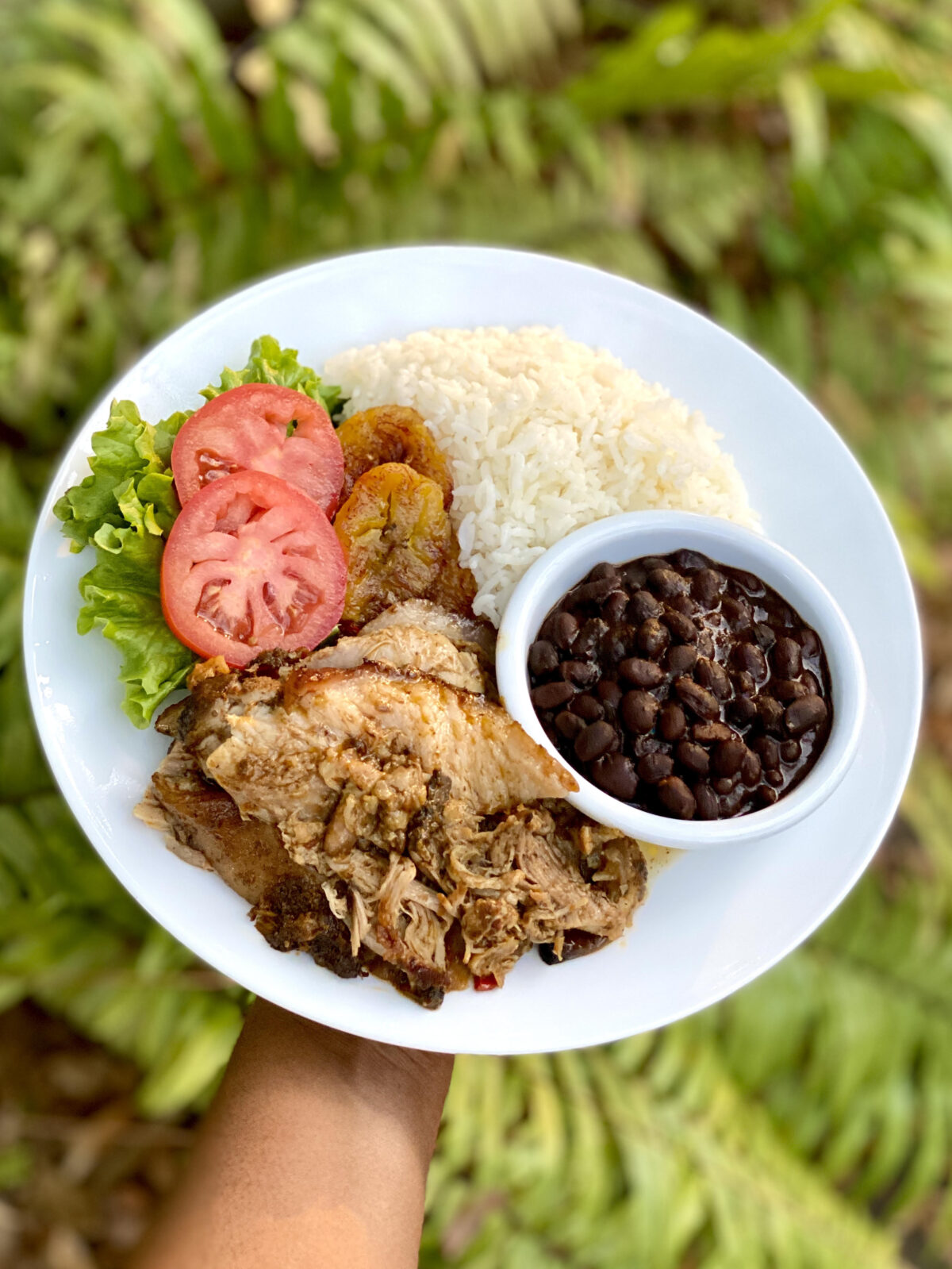 Sliced roasted pork shoulder served with white rice, black beans, fried plantains, lettuce, and tomato on a white plate.